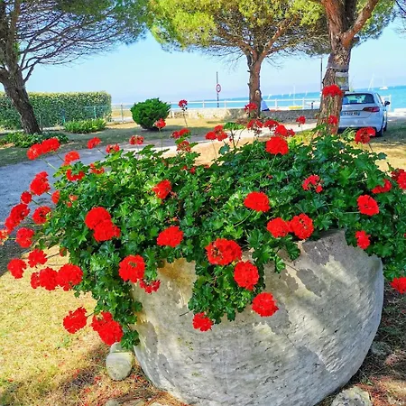 Villa Sea-facing In La Flotte-en-re